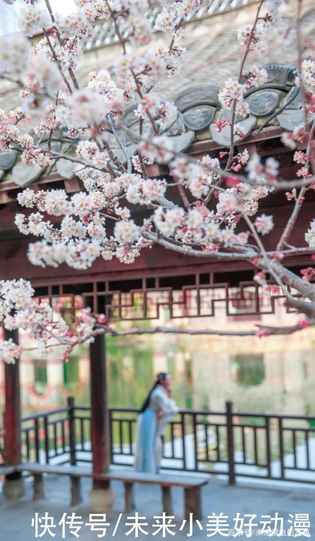 暖雨香风频相顾，正是踏春好时节