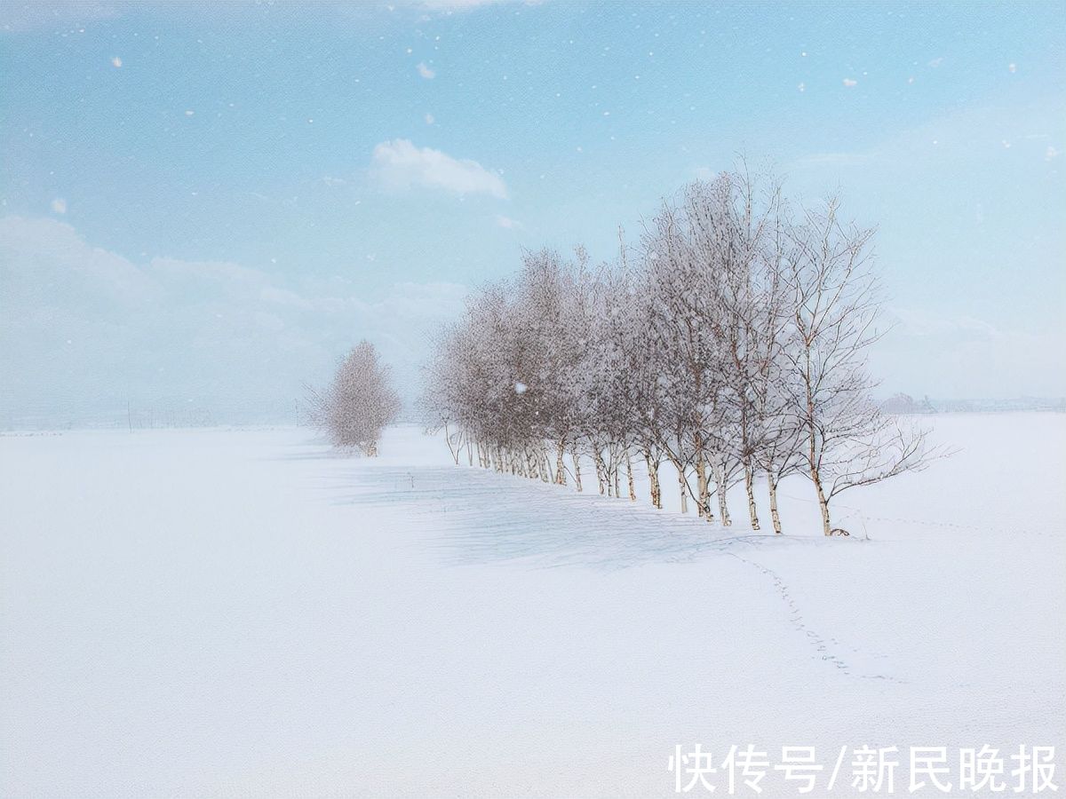 自然界！节气 | 大雪，能饮一杯无