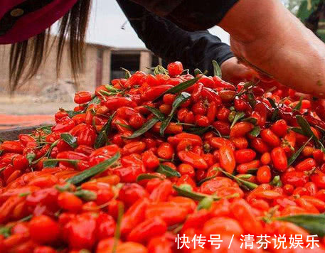 谨记|医生告诫用枸杞泡水喝,谨记“三不要”,要不喝了也是白喝!