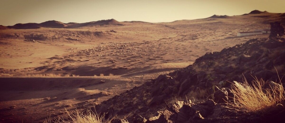 军事|霍去病死后，汉朝为何没有大规模的出击匈奴行动？军事配合外交