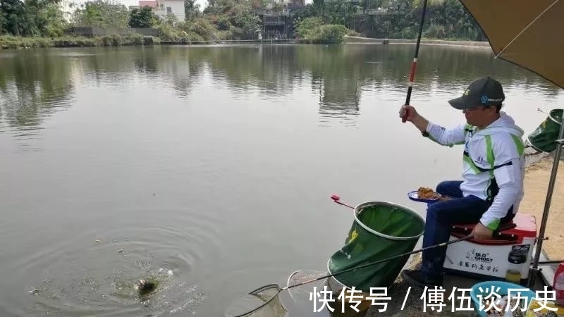 鱼情|黑坑作钓,鱼不开口,怎么办?