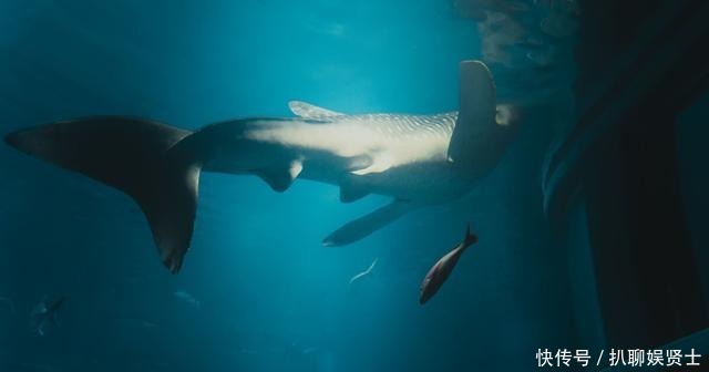 郭沫若声称才气不输苏轼,曾写下一首《水调歌头》,读罢高低立判