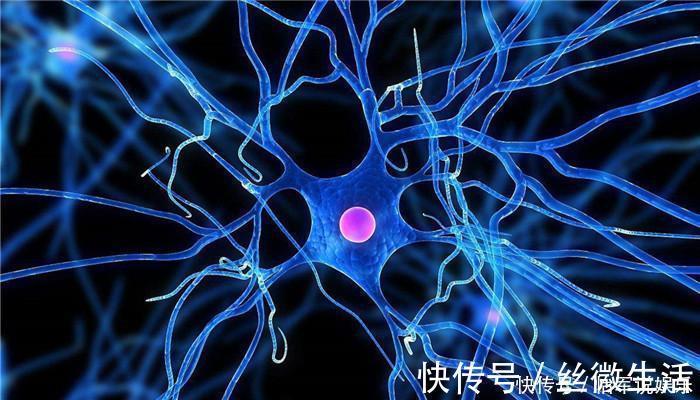 失眠|晚上失眠多梦,吃不好怎么能行,此物让你”呼呼大睡“,赶紧了解