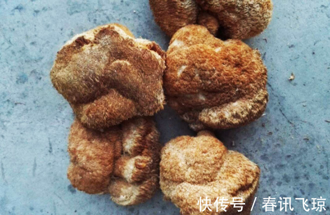 猴头菇|胃不好的人,晚上记住3吃2不吃,多喝1碗汤,防炎症,胃更好