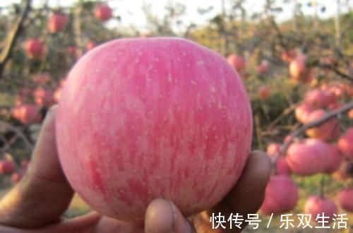 含有|经常便秘不用怕,3种食物换着吃,快速通便,肠道越吃越干净