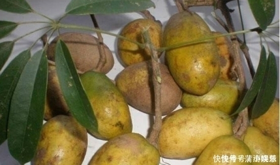 维生素c|女性不想子宫早衰，多吃此果，子宫慢慢变好，远离妇科炎症