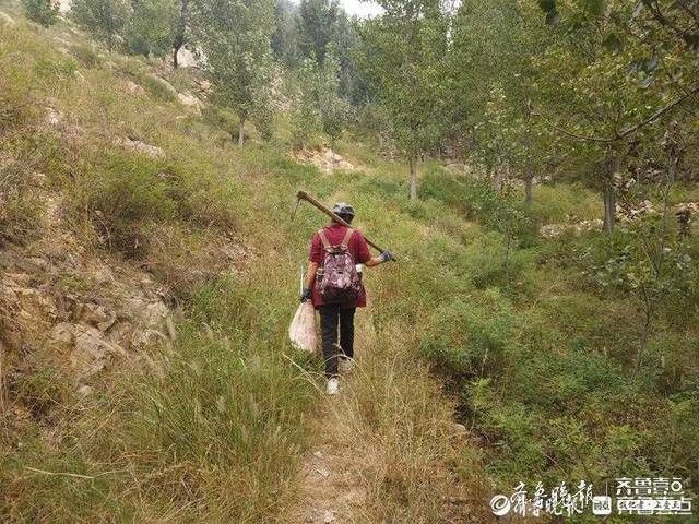 舒平|复旦女教师抗癌离世九年，母亲在家乡曲阜种出一座青山