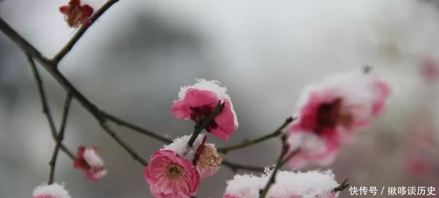 平水韵|朱亚军/古体诗五首