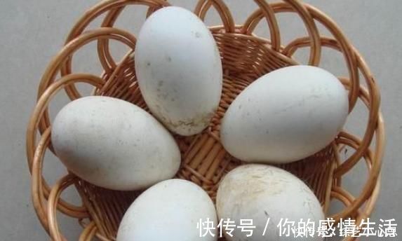 营养|聪明的人都在吃3种食物，营养丰富，常吃改善体质，早吃早补救！