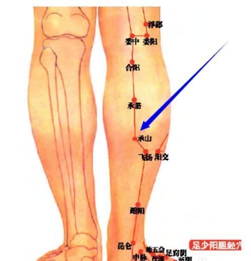 经络|每天坚持按摩这几个穴位几分钟，有效排出体内湿寒之气，美容瘦身