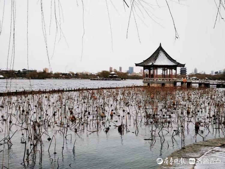 雪后水墨雅韵大明湖，简洁唯美让人贪恋