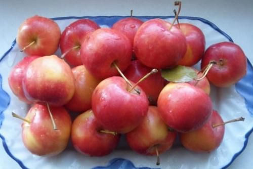 超级营养的3种食物，每天坚持吃一些，滋肝明目，延缓身体衰老