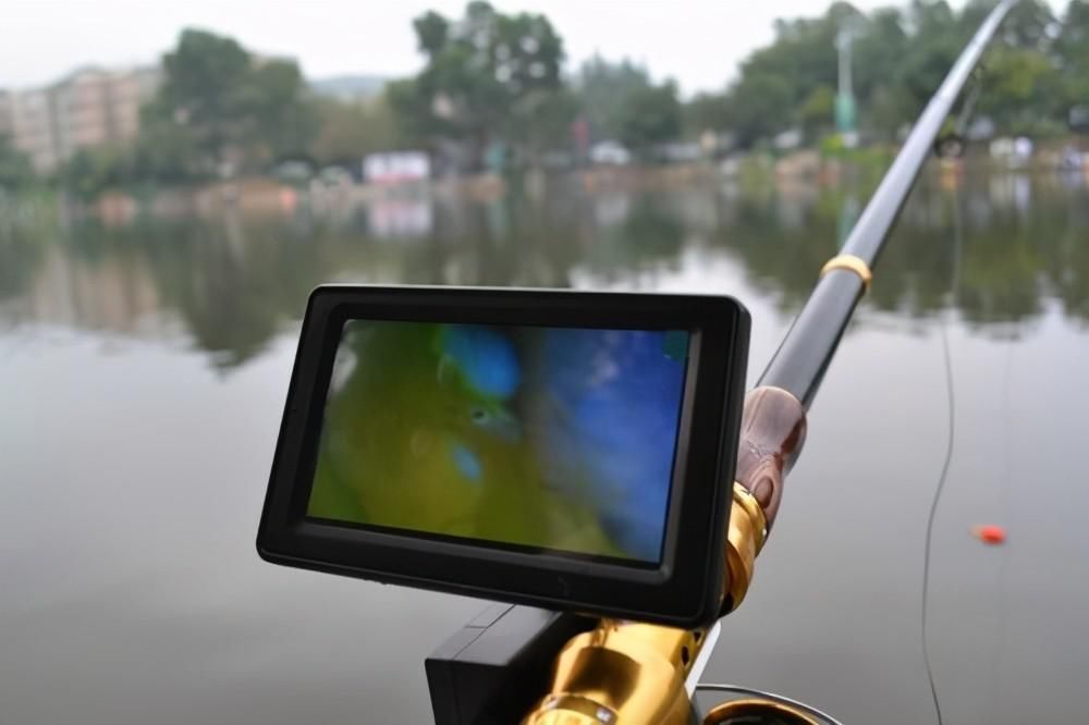 神饵泥鳅|三千斤翘嘴一夜被钓完,“神饵泥鳅”为何让老大爷欲哭无泪?