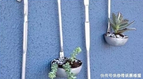 花盆|你还在花钱买花盆吗?别买了,自制花盆,比买的好看的多了