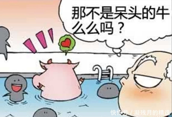 呆头|爆笑校园：刘老师说游泳池不穿泳衣不能下水，所以么么穿上了泳衣