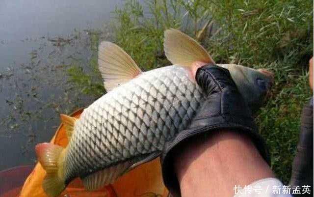 水域|再三提醒这3个钓点老钓友从来不去,逢钓必空军,莫忽视哦