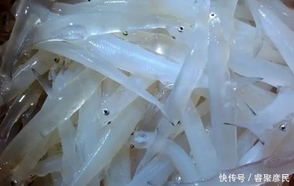 在日本最富有人眼里 长寿食品 中国产量很高 没人吃为什么 快资讯 在日本最富有人眼里 长寿食品 中国产量很高 没人吃为什么 快资讯