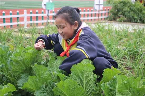 坊子区|坊子区安泰小学2021年工作回顾总结