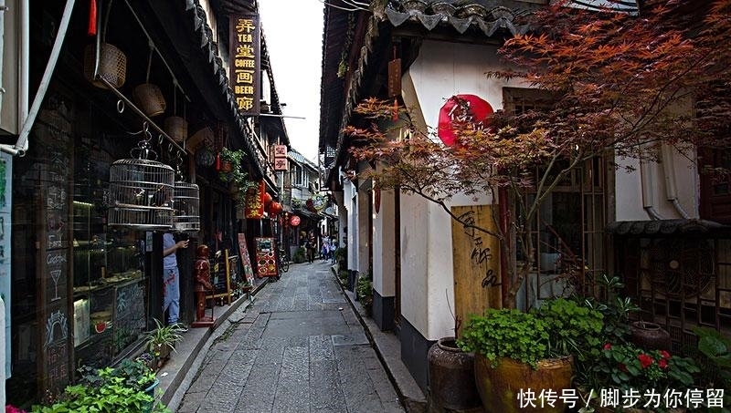 比周庄大三倍多的古镇，距上海大约48公里，门票0元被游客称赞