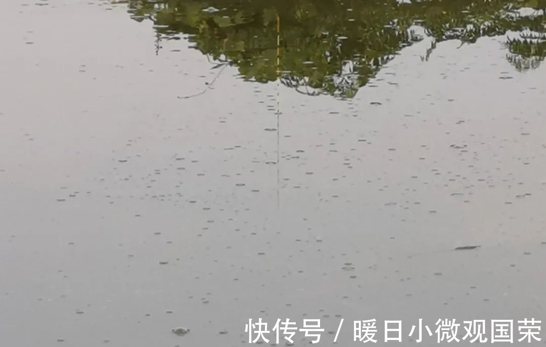 新手|新手真的不用学调漂吗?给你几个实用的建议,看完后不再迷茫