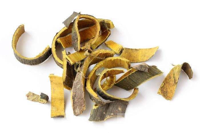 2味药,从根解决痛风!朱丹溪流传下来的老方子,造福无数人!