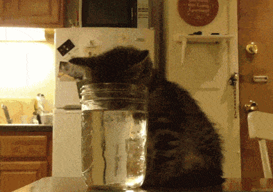 |搞笑GIF:班主任的日常,此情此景熟悉的味道