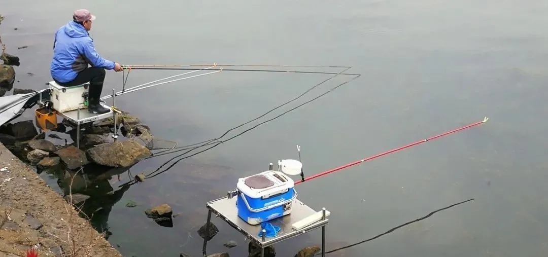 冬季大鲫鱼好钓?谣言!不注意3点,大板鲫和你无缘