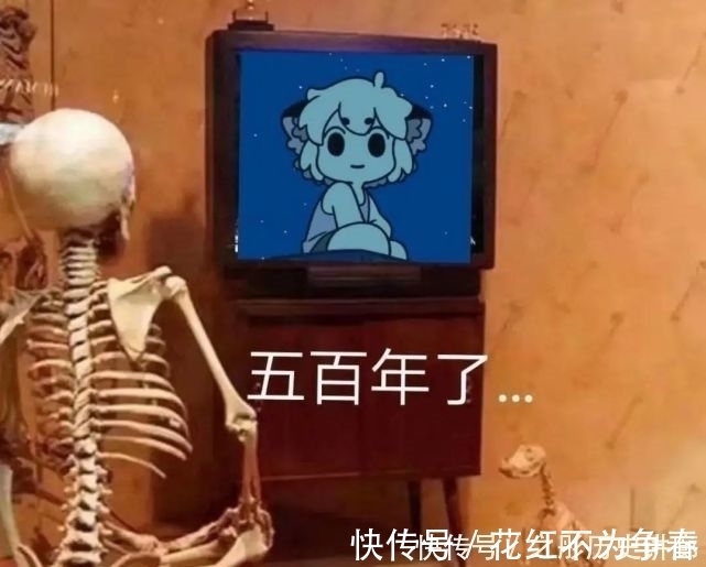 罗小黑战记|史上最鸽国产动画罗小黑战记是如何宣传自己周更的,看完真笑翻了