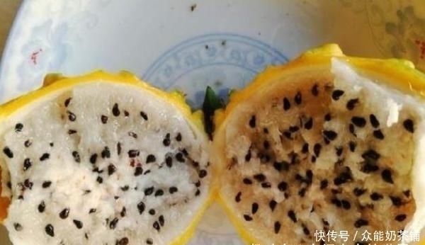 地球上的四种水果,你吃过一种,就可以吹一辈子