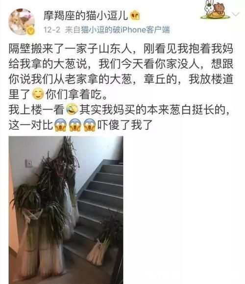 同样都是大葱，看看南方吃的大葱，再看看北方吃的大葱，我凌乱了