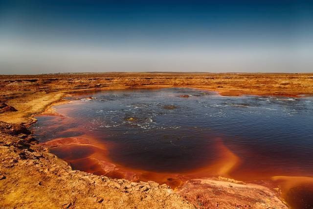 生命 如果将真菌生物放置在火星上,若干年后,它会演化出生命吗