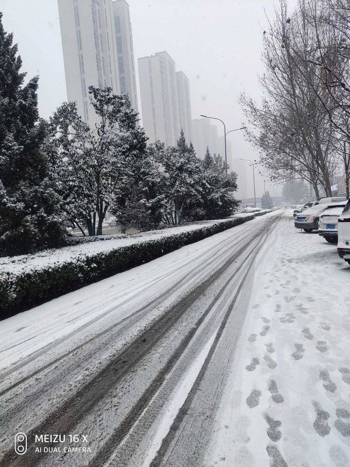 雪天|济南雪天踏雪行