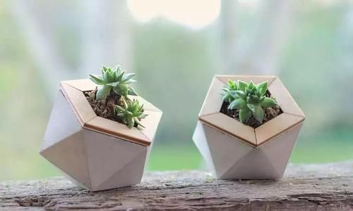 制作水泥花盆|用硬纸皮制作精美的水泥几何花盆,用来种多肉植物太好看了