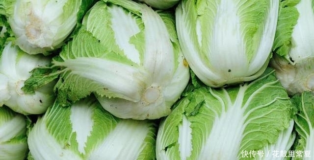 些黑点|白菜上的黑点是什么,到底能不能吃?