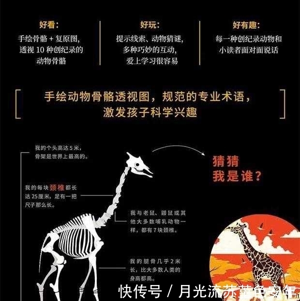 动物|这本书得出了动物骨头的10项世界纪录，带你探寻动物骨头的奥秘