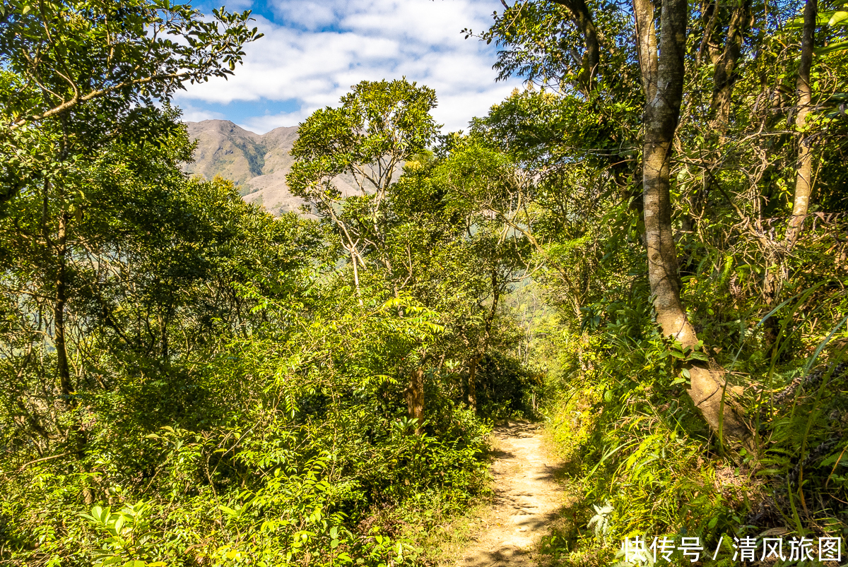 景色|景色迷人、没有门票的景区：阳春鸡笼顶，广东的万亩高山大草原