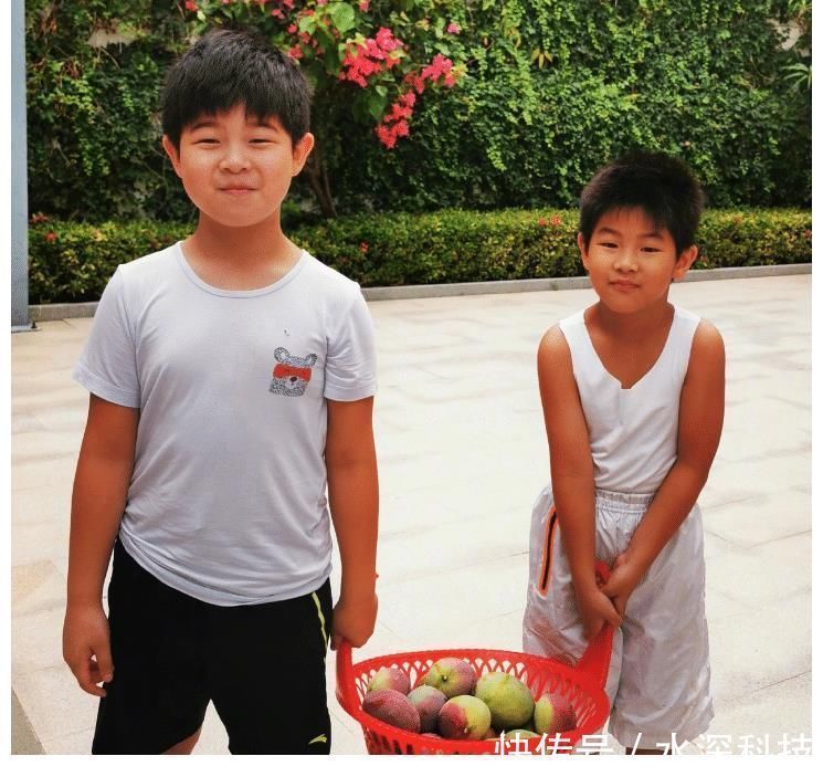 节目|郑恺苗苗刚撒完狗粮，沙溢又带俩儿子上跑男，谁知身材更引人注目
