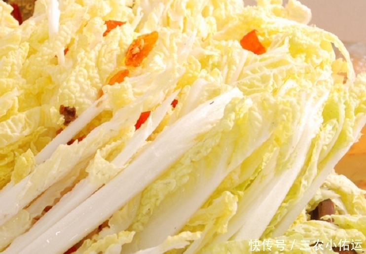 味道鲜美|娃娃菜味道鲜美,营养丰富,让更优质的娃娃菜上市,仅需做好三点