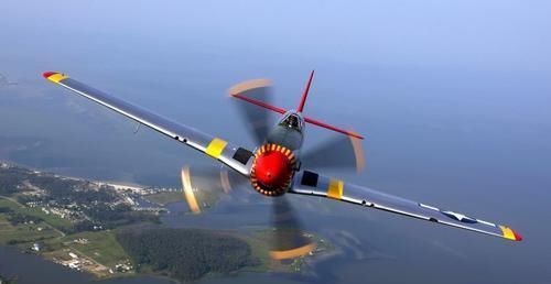 飞机 飞机会因失速而坠毁,那鸟会失速吗?失速又是怎么一回事呢?