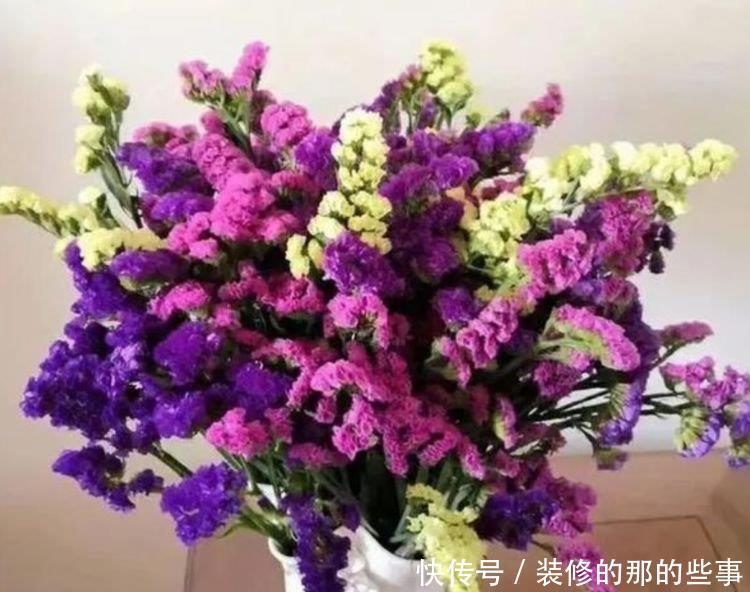  4种花给点水就呼呼长，不仅名字好听，花也超美，漂亮好养！