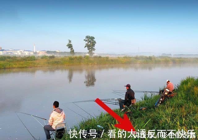 蚂蚁|钓鱼时,它不会影响渔获,但会影响钓友的安全