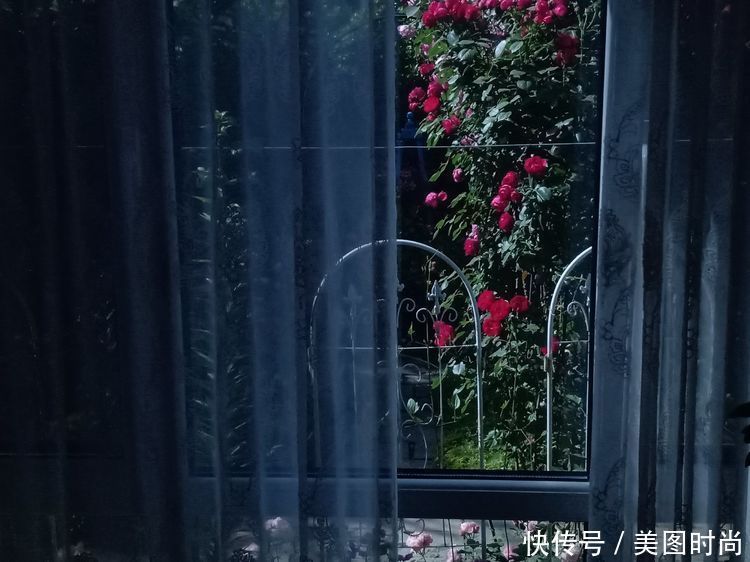 美好时光|花园改造:3年前买了栋带170㎡花园的房子,过上种花草的乡村生活