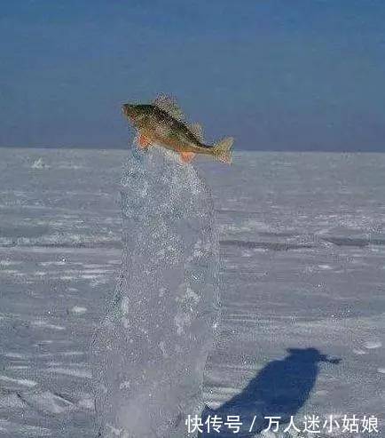 |笑话:这是啥意思啊,开挖掘机还带着媳妇?