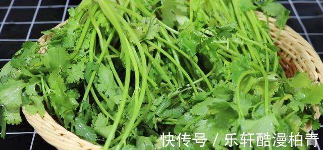 袋子|把香菜放在袋子里，放一年也新鲜，和刚买的一样，一年买两次就够