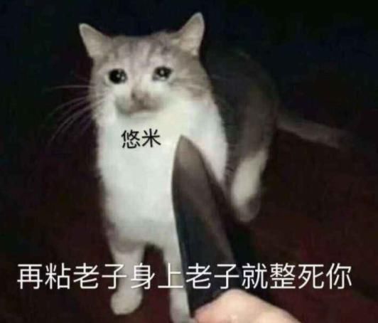 宠爱|同样是为救队友献祭自己，为何它备受女玩家宠爱，猫咪却总被排挤？