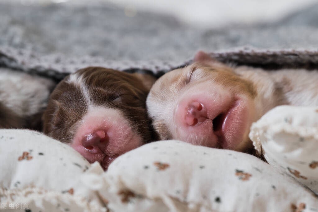 皱纹|年纪轻轻就长斑、脸上有皱纹,连头发也白了,小心失眠让你早衰