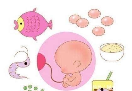 营养|孕妈怀孕期间应该补充哪些营养?第五点超重要却容易被人低估
