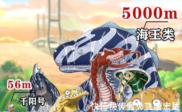 千阳号|海贼王身高对比图,海王类以5000米称霸,路飞身高不及白胡子膝盖
