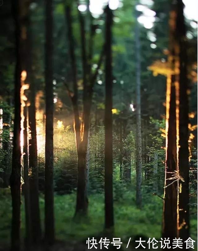 【诗词鉴赏】冬天来了,乡愁更浓了,10首思乡的诗词,让人怎能不思乡!