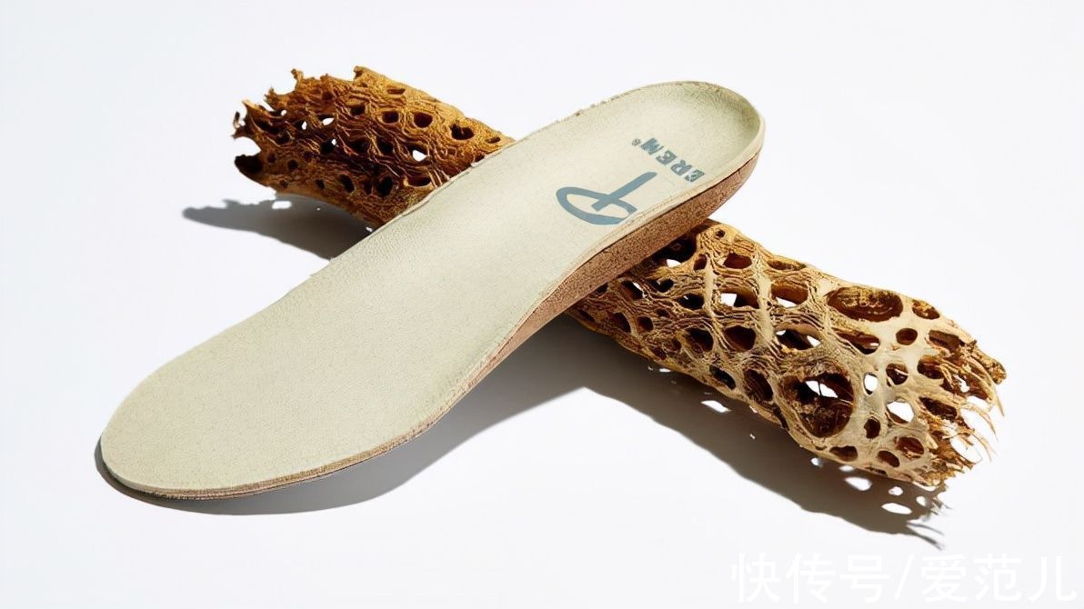 noah 创造了「踢不烂」的家族，打造了一系列「更好烂」的靴子